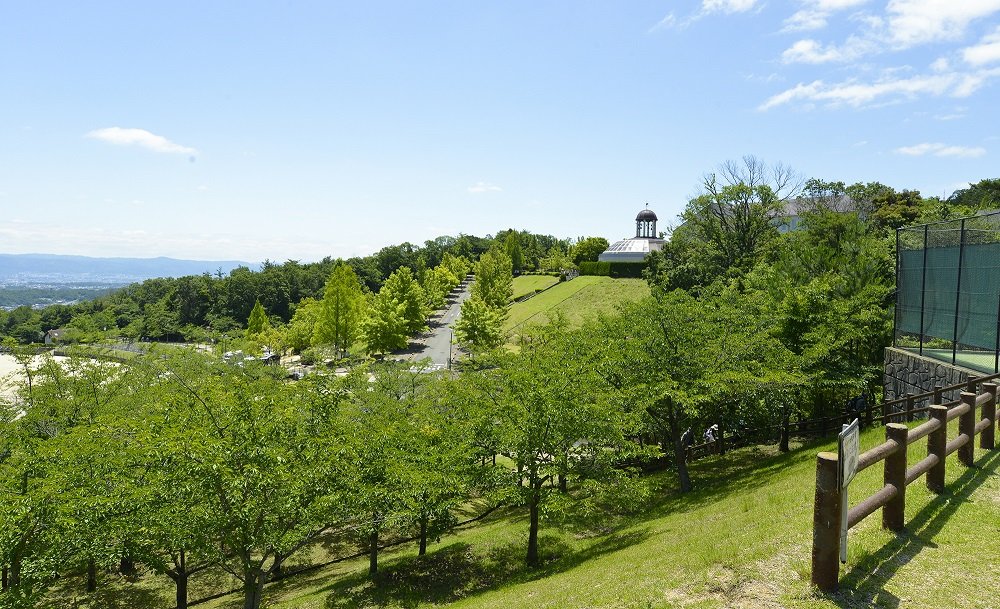 🌳 이코마 산기슭 공원(이코마산로쿠코엔) 이미지 1